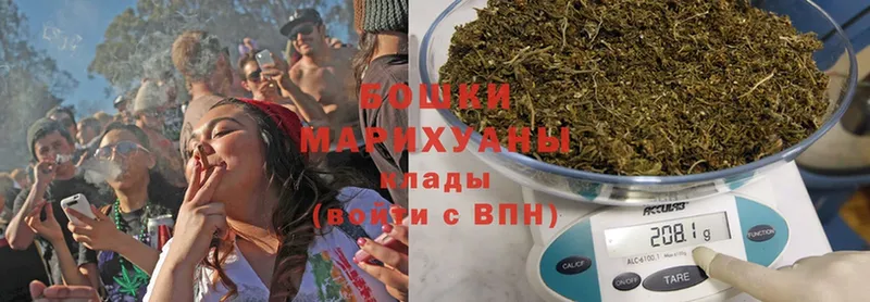 Канабис OG Kush  Амурск 